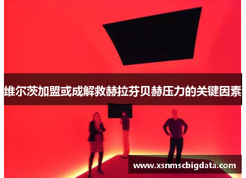 维尔茨加盟或成解救赫拉芬贝赫压力的关键因素